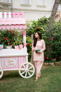 Amalfi rose